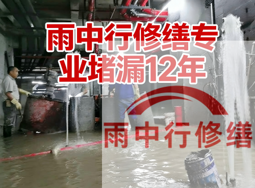 威海中国五矿某大型污水处理厂堵漏案例